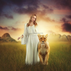 Lion Digital Background ~ Animal Background ~ Fine Art Background