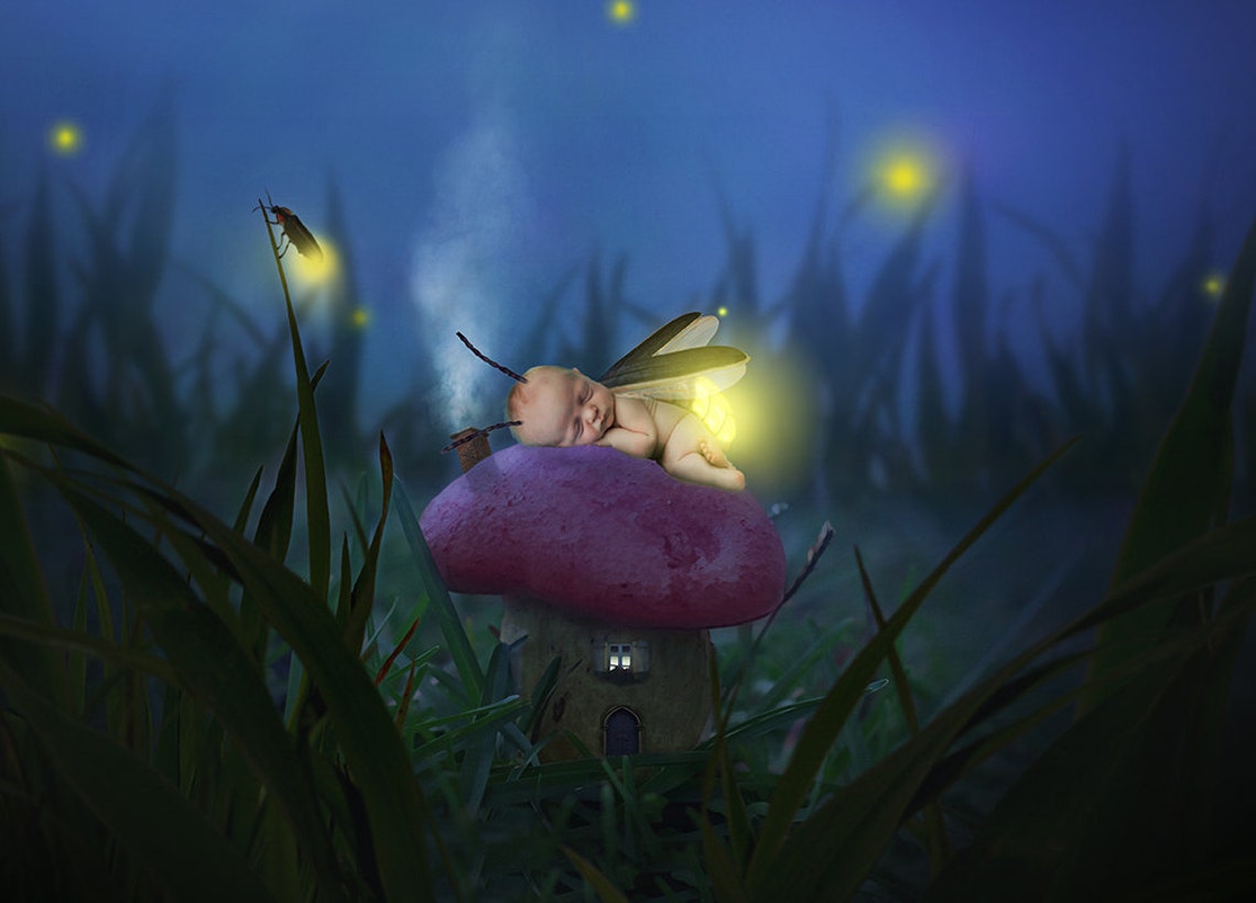 Digital Background the Mushroom House - Etsy