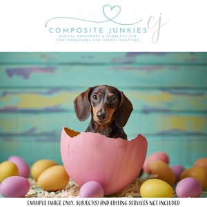 Custom Pet Portrait Easter Digital Backdrop, Photography Background, Photo Manipulation, Add your subject, Spring Time, Photoshop