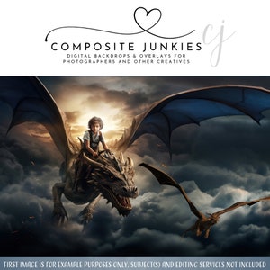May include: A digital backdrop featuring a boy riding a dragon in the clouds. The dragon has blue wings and is flying through a stormy sky. The boy is wearing a brown shirt and pants. The backdrop is perfect for photographers and other creatives who want to create fantasy-themed images.