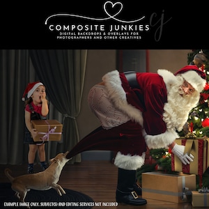 Bad Dog Christmas Digital Backdrop Background for Photography Composites, Funny Christmas Background for Photomanipulations, Christmas Image