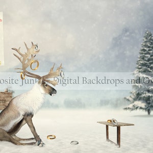 Reindeer Games Christmas Digital Background Backdrop for Photographers