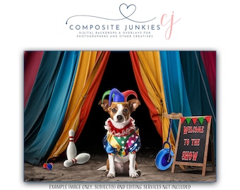 Jester Pet Portrait Digital Backdrop, Circus Clown Background for Pets, Carnival Composite Photoshop Image, Composite Photo, Photographer