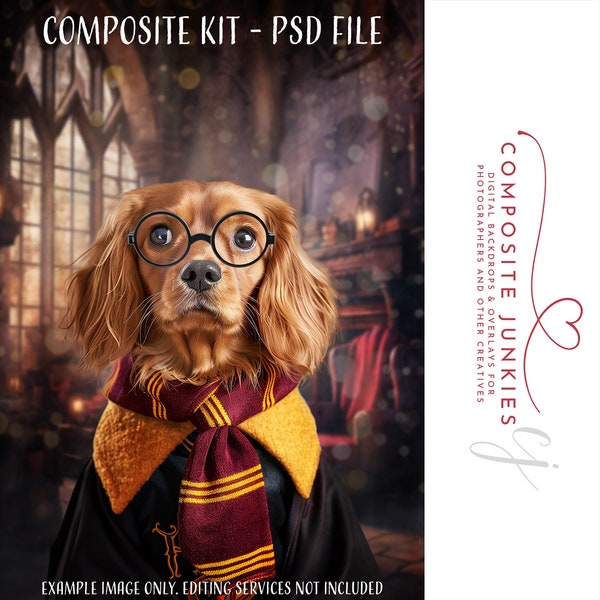 Wizard Pet Portrait for Composite Photography Art, Funny Pet Backdrop for Photo Manipulations, Add your subjects, PSD File