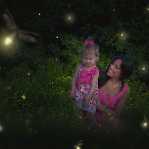 Firefly Overlays ~ Lightning Bug Overlays {PREMIUM}