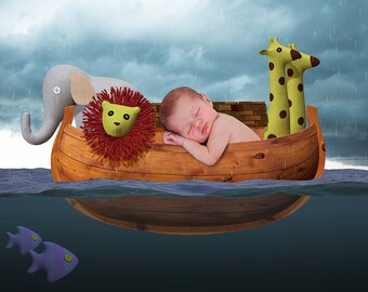 CLEARANCE Noah's Ark Digital Background ~ Newborns ~ Children's