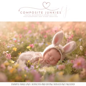 Pode incluir: Um bebê recém-nascido vestindo um traje de coelho branco com orelhas caídas, dormindo em um campo de flores coloridas. O bebê está deitado de lado com a cabeça apoiada no braço. As flores estão em flor e o fundo é um verde suave e desfocado.