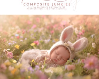 Easter Bunny Rabbit Newborn Digital Backdrop for Photographers, PNG Face Insert Template, Background for Photo Manipulation, Photoshop