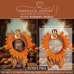 Pet Portrait Turkey Thanksgiving Digital Photography Backdrop for Photo Manipulations, Holiday Background for Cats or Dogs, Greeting Card
