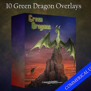10 Green Dragon Overlays, Dragon Overlays, Dragon PNGs, Dragon Clip Art - COMMERCIAL USE ALLOWED