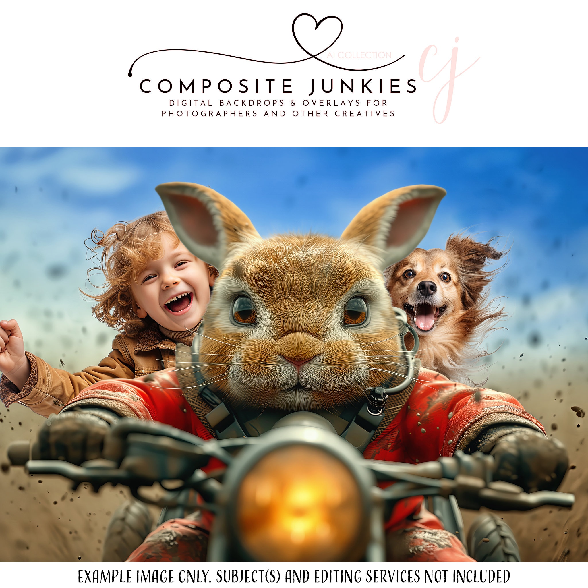 Bunny Ride Digital Backdrop for Photography Composites, Rabbit ...