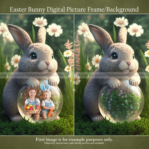 Easter Bunny Photo Insert, Rabbit Digital Background, Easter Digital Backdrop, Composite Photo, Photography Backdrop for Composite imagery
