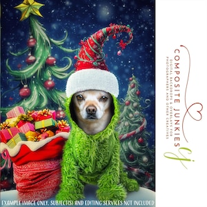 Adorable Fuzzy Green Monster Pet Face Insert Christmas Backdrop - Custom Winter Portrait Digital Background for Holiday Photo Composites