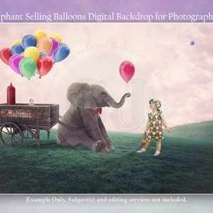 Elephant, Digital Backdrop, Photography Backdrop, Animal, Photoshop Background, Digital Download, Elephant Digital, Balloon Digital Backdrop