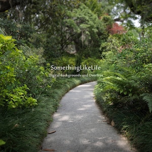 Garden Path Digital Background Backdrop