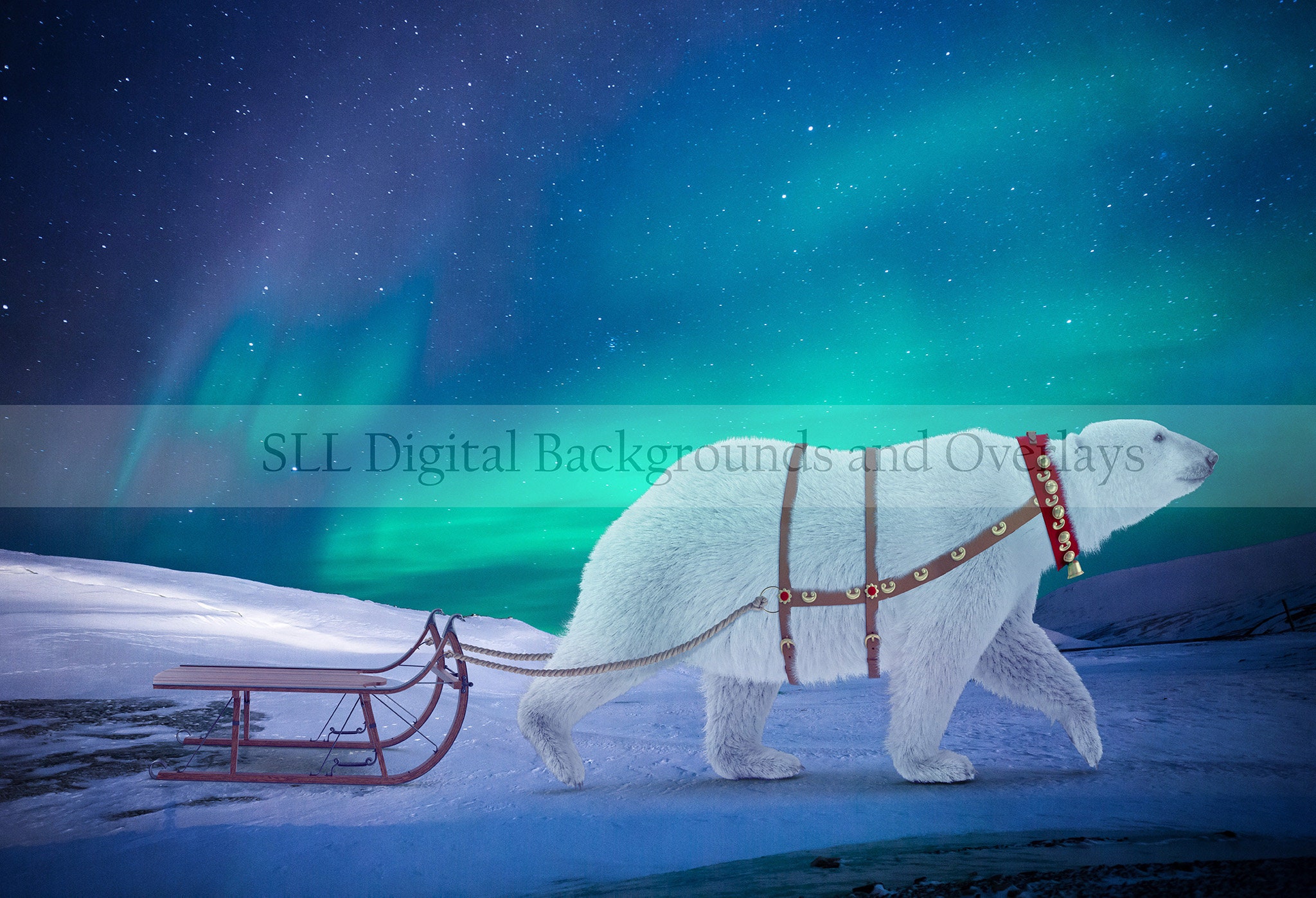 Polar Bear Pulling Sleigh Digital Backdrop Winter Aurora Etsy