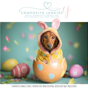May include: A dachshund dog wearing a yellow and pink bunny costume sits inside a cracked open Easter egg. The egg is decorated with blue and white flowers. The background is a light blue green with confetti.