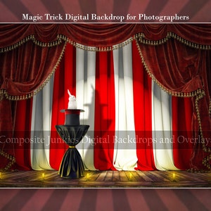 Magic Stage Digital Backdrop Background for Composite Photos, Magic ...