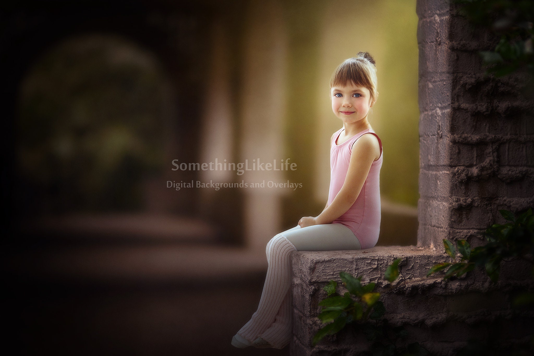 Brick Wall Digital Backdrop