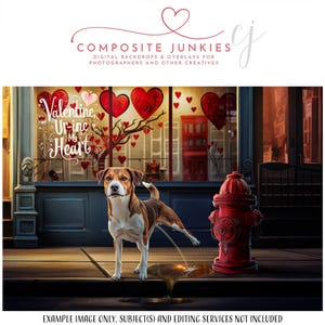 Funny Valentine's Day Pet Digital Backdrop - Hilarious Photoshop Scene - Playful Adult Humor for Dog Photo Composites and Holiday Portraits
