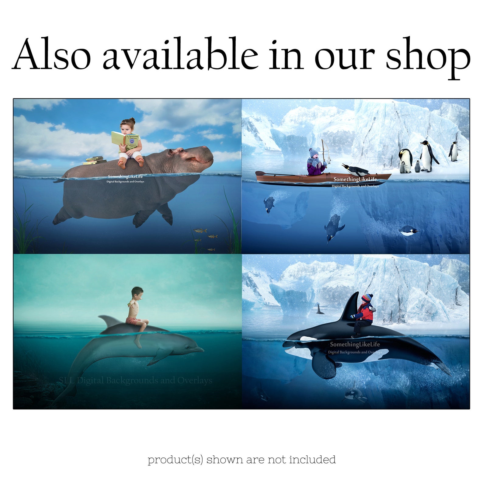 Tropische digitale Kulisse mit Meeresbewohnern Digitale | Etsy