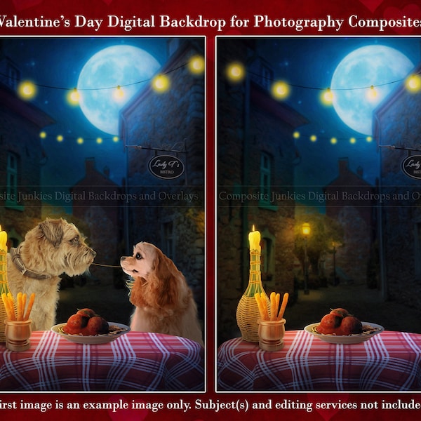 Valentine's Day Digital Background, Love Digital Backdrop, Sweetest Day Digital Backdrop, Dog Digital Background for Composite Images