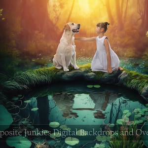 Enchanted Forest Digital Background for Composite Photography, Photoshop Background, Digital Backdrop, Enchanted Wood Digital Background