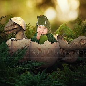 Tyrannosaurus Rex Digital Backdrop for Photographers, Baby Dinosaur Background, Jurassic Backdrop, T Rex Dino Background, Photoshop Backdrop
