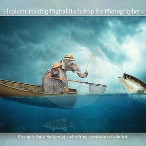 Elephant Digital Backdrop | Digital Elephant | Photo Backdrop Digital | Fishing Digital Backdrop | Digital Elephant Backdrop | Jungle