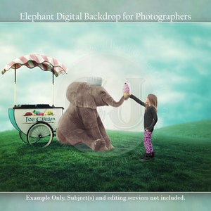 Elephant, Digital Backdrop, Photography Backdrop, Animal, Photoshop Background, Digital Download, Elephant Digital, Summer Digital Backdrop
