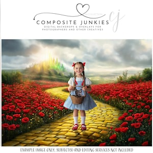 May include: A digital backdrop featuring a yellow brick road leading through a field of red poppies. The road leads to a green and yellow castle in the distance. A young girl in a blue dress and red shoes walks down the road, carrying a basket with a small dog inside.