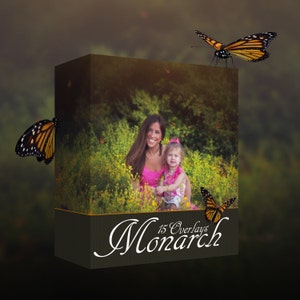 Butterfly Overlays, Monarch Overlays, Insect Overlays, PNG