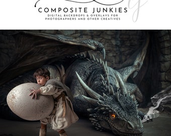 Sleeping Dragon Digital Backdrop Background, Dragon Digital Backdrop for Photography Composites, Photoshop Composites, Composite Image