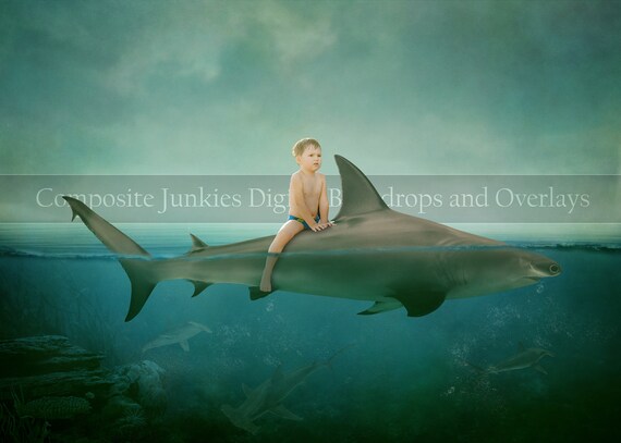 Hammerhead Shark Digital Backdrop Background for Composite | Etsy