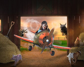 Plane flying through barn digital background | Farm animals digital background | Digital Background for composites | Plane digital backdrop