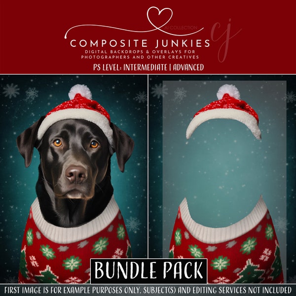 Pet Portrait Ugly Christmas Sweater Digital Photography Backdrop for Photo Manipulations, Holiday Background for Cats or Dogs, Greeting Card