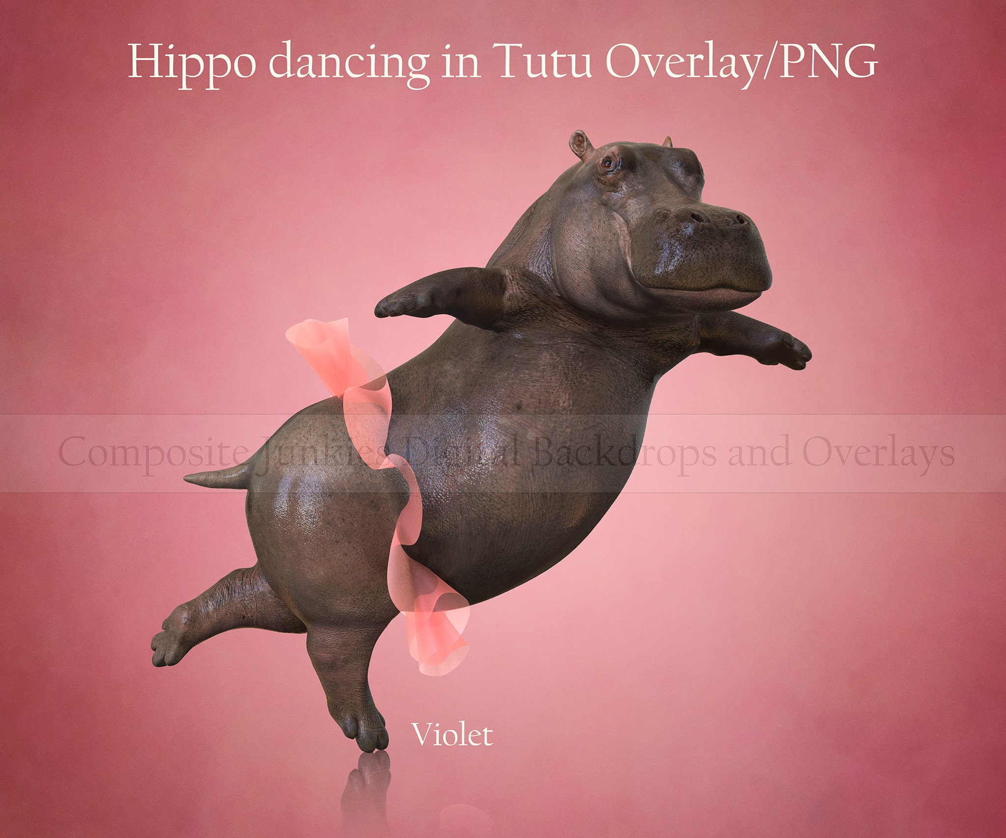 Hippo dancing in Tutu Overlay PNG Image Overlay Animal Etsy
