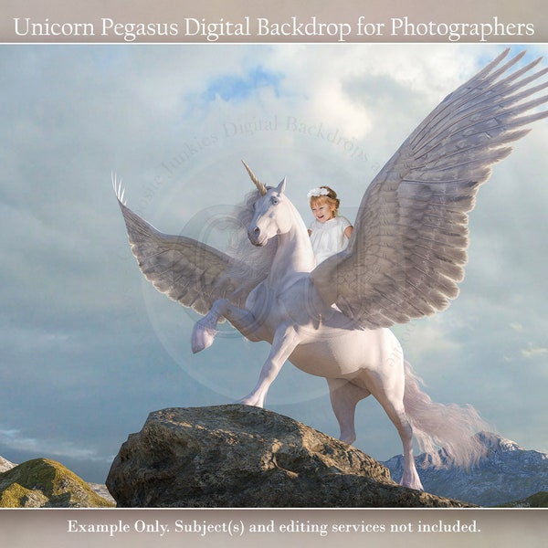 Unicorn Pegasus Fantasy Digital Backdrop for Photographers, Photography Backgrounds instant download, Digital Template for Composite Photos