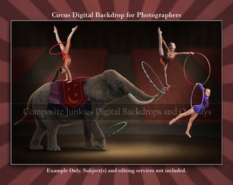 Circus Ring with Elephant Digital Backdrop for Photography Composites, Circus Digital Background for Composite Photos, Photography Backdrops