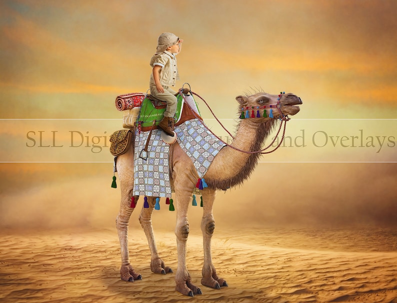 Camel Digital Backdrop - Desert Digital Backdrop {PREMIUM} - Etsy