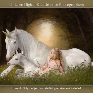Unicorn Fantasy Digital Backdrop Background for Photography Composite Images, Magical Unicorn Photoshop Backdrop, Image Insert, Composite