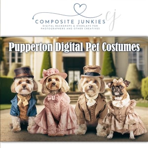 May include: Four dogs wearing digital pet costumes in a Victorian style. The dogs are sitting in a row on a brick path in front of a large house. The costumes are a blue suit, a pink dress, a brown suit, and a brown dress.