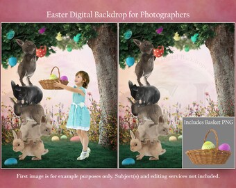 Easter Bunny Digital Background, Easter Egg Digital Backdrop, Digital Photo Props, Photography Props, Easter Background, Digital Download