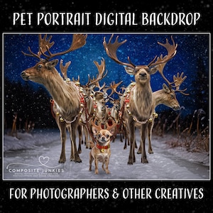 Christmas Digital Backdrop for Pets, Holiday Background for Composite Photography, Santa's Reindeer Photo Composition, Photoshop Overlay