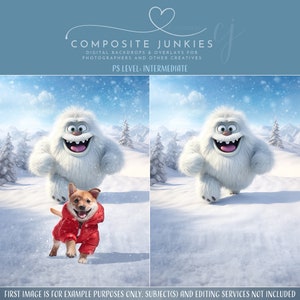 Funny Christmas Pet Portrait Digital Photography Backdrop for Photo Manipulations, Yeti Chase Background for Composite Images, Photoshop
