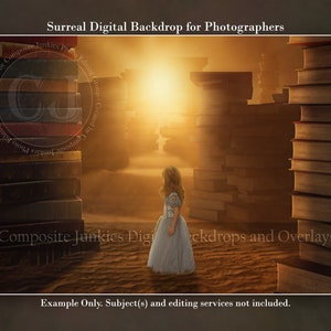 Book Fantasy Surreal Digital Backdrop for Photography Imagery, Composite Fantasy Background, Book Digital Backdrop, Photography Backgrounds