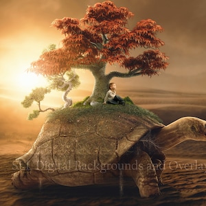 May include: A large turtle walks through a desert landscape carrying a small child and three trees on its back. The child sits on a small patch of grass and looks out at the horizon. The trees are a red maple, a small pine, and a bonsai tree. The sun shines brightly in the background.