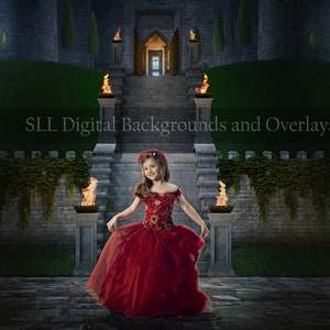 Fairytale Inspired Castle Digital Background ~ Night