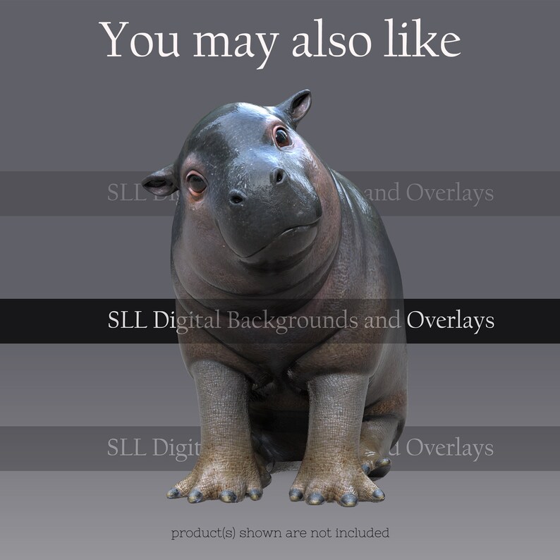 Puede incluir: Una figura de hipop&oacute;tamo gris oscuro con un pelaje liso y brillante y patas texturizadas. El hipop&oacute;tamo est&aacute; sentado erguido, con el texto "You may also like" y "SLL Digital Backgrounds and Overlays". Los productos mostrados no est&aacute;n incluidos.