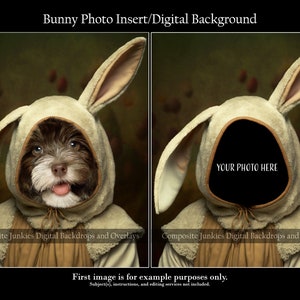 Easter Bunny Photo Insert, Rabbit Digital Background, Easter Digital Backdrop, Composite Photo, Photography Backdrop for Composite imagery